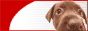 88x31 banner