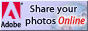 88x31 banner