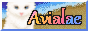 88x31 banner