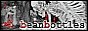 88x31 banner