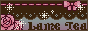 88x31 banner