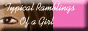 88x31 banner