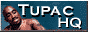88x31 banner
