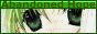 88x31 banner