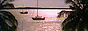 88x31 banner