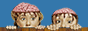 88x31 banner