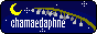 88x31 banner