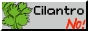 88x31 banner