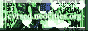 88x31 banner