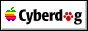 88x31 banner