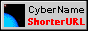 88x31 banner