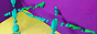 88x31 banner