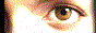 88x31 banner