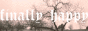88x31 banner