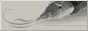 88x31 banner