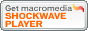 88x31 banner