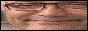 88x31 banner