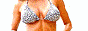 88x31 banner