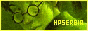 88x31 banner