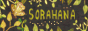 88x31 banner