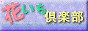 88x31 banner