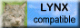88x31 banner