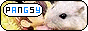 88x31 banner