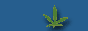 88x31 banner