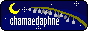 88x31 banner
