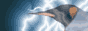88x31 banner