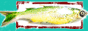88x31 banner