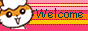 88x31 banner