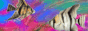 88x31 banner