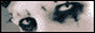 88x31 banner