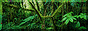 88x31 banner
