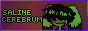 88x31 banner
