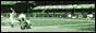 88x31 banner