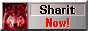 88x31 banner