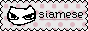 88x31 banner