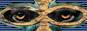 88x31 banner