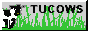 88x31 banner
