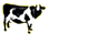 88x31 banner