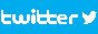 88x31 banner
