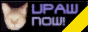 88x31 banner