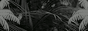 88x31 banner