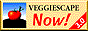 88x31 banner