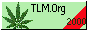 88x31 banner