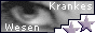 88x31 banner