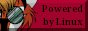 88x31 banner