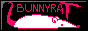 88x31 banner